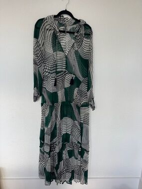 Anthropologie Green & White Patterned Long-Sleeve Sheer Maxi Dress